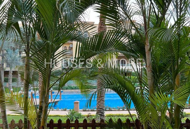 64895705 - صورة العقار 3