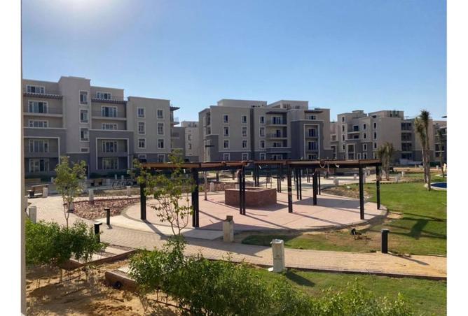 8492957 - Property Image 3