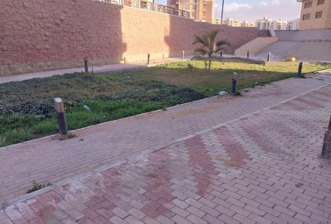 63381729 - Property Image 2