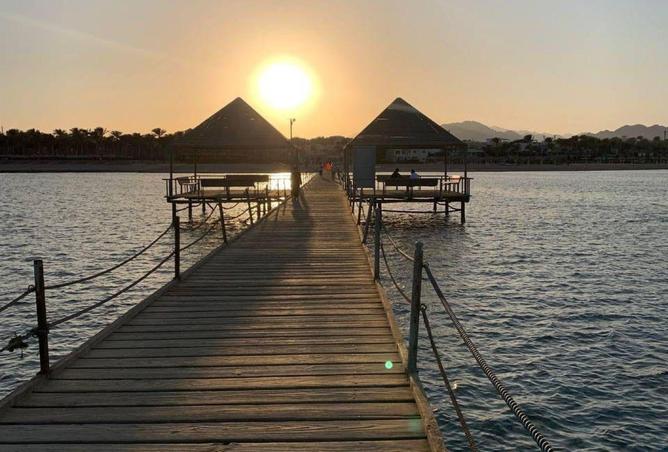 8676857 - الصورة الرئيسية للعقار