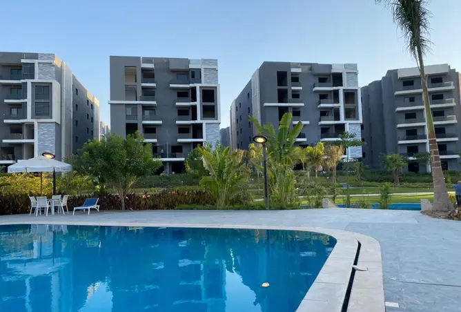 117524833 - Property Image 3