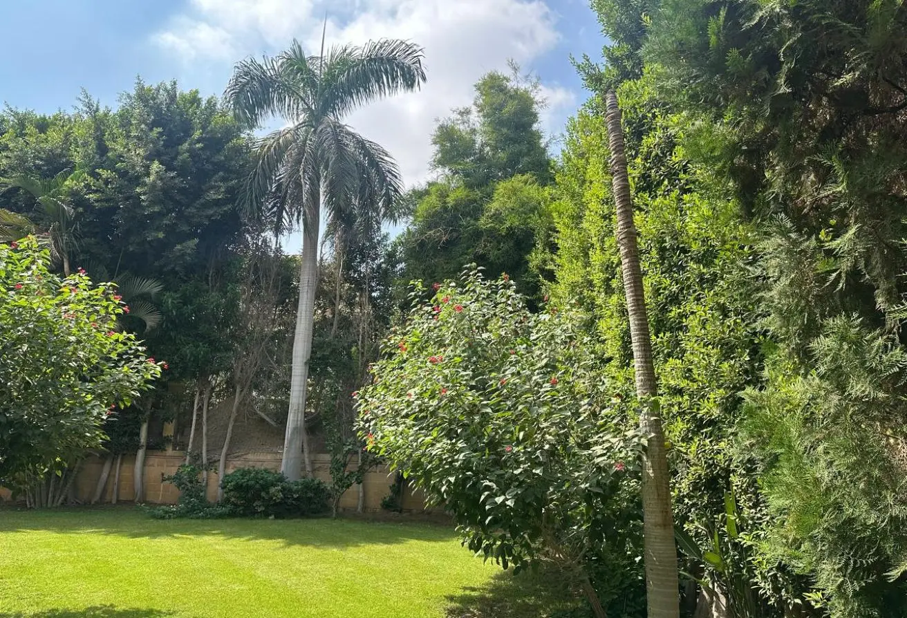 113800997 - الصورة الرئيسية للعقار