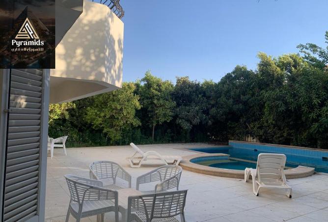 57244229 - Property Image 3