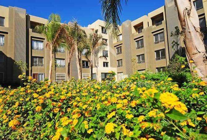 68801179 - صورة العقار 2