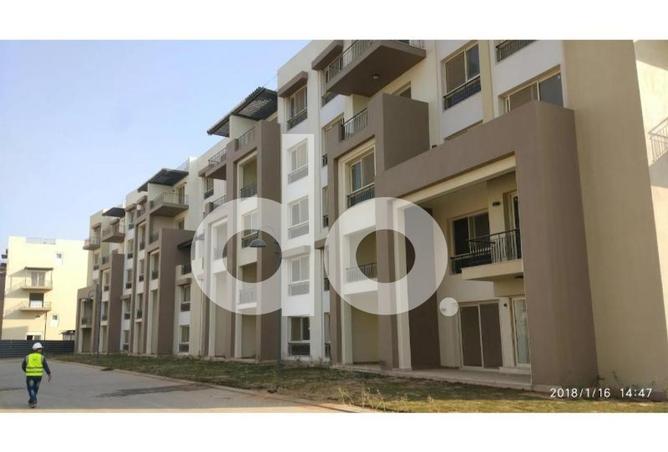 64137426 - Property Image 3