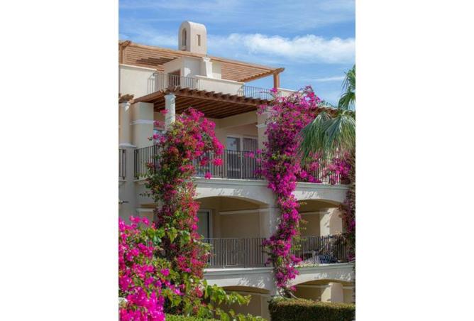 8639362 - Property Image 3