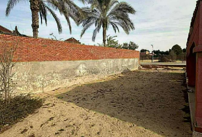 58006966 - Property Image 2