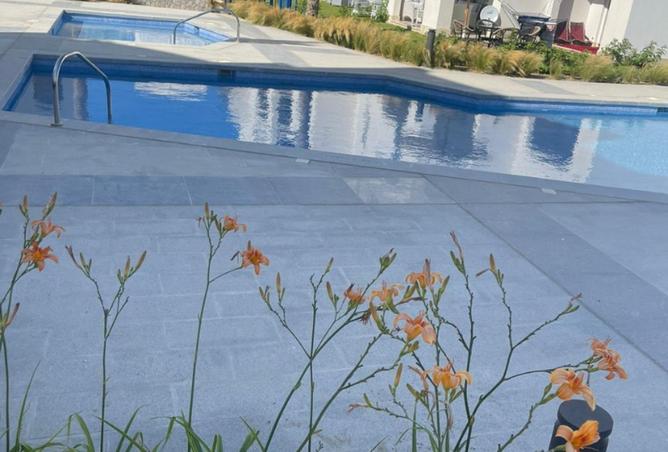 53477228 - صورة العقار 3