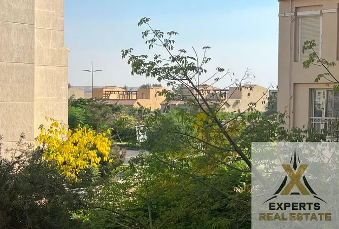 118028280 - صورة العقار 3