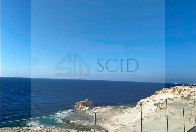 108792426 - Property Image 3