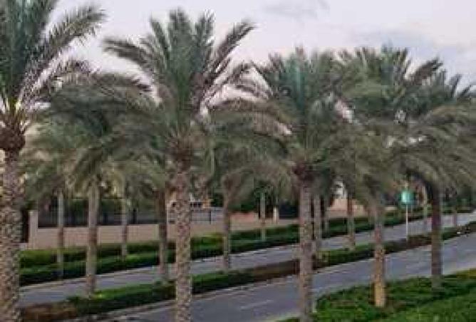 75671560 - صورة العقار 2