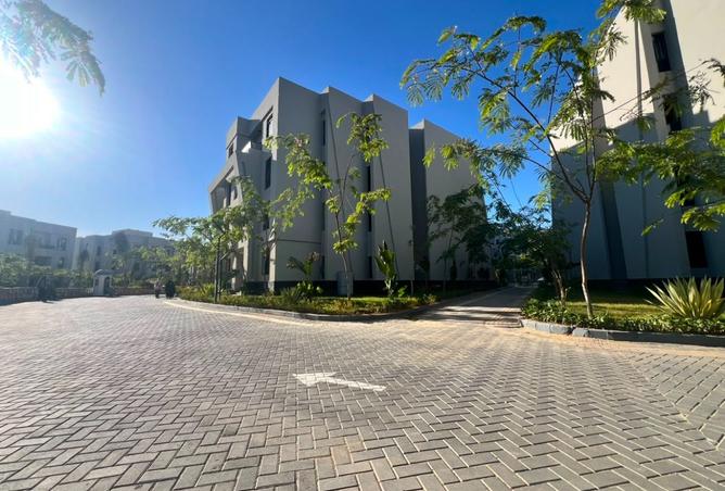 101768488 - Property Image 2