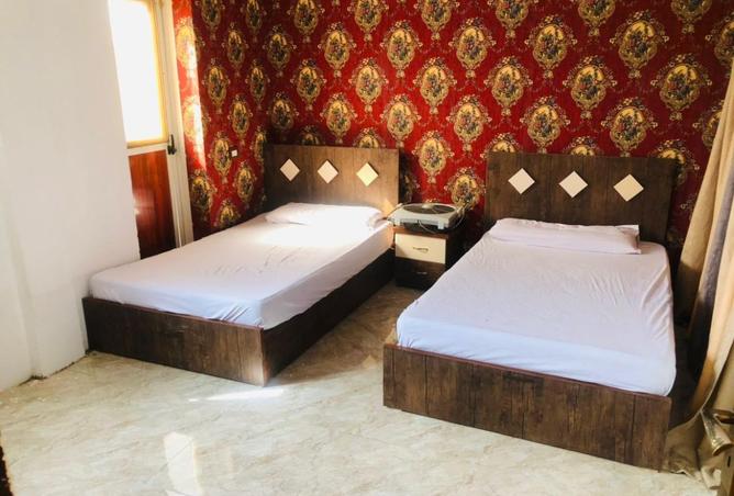 8434565 - صورة العقار 3