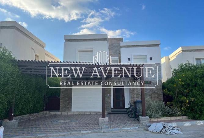 54241849 - صورة العقار 3