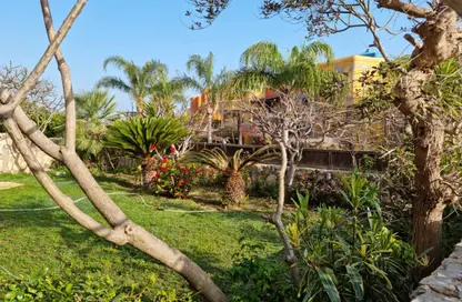 Chalet - 3 Bedrooms - 3 Bathrooms for rent in Hacienda Red - Sidi Abdel Rahman - North Coast