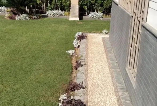 110893875 - صورة العقار 2