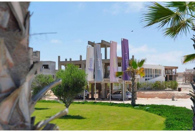 91299176 - صورة العقار 3