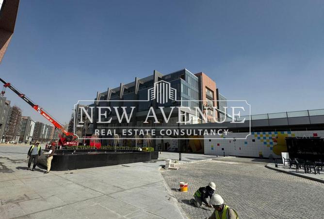 8650081 - Property Image 3