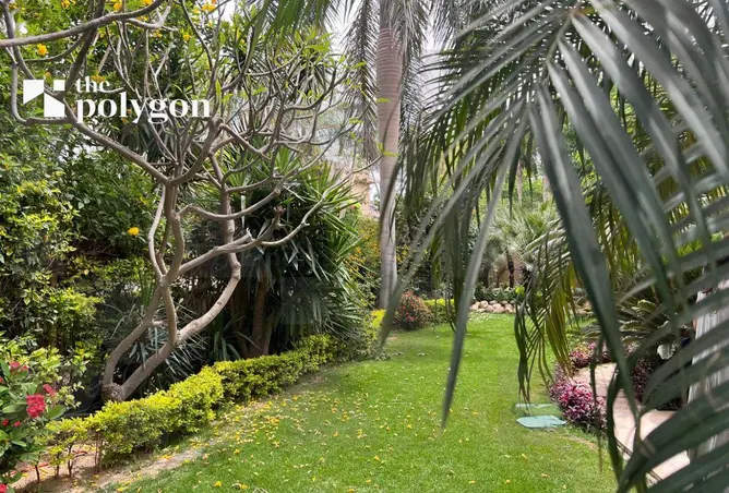 111020727 - Property Image 3