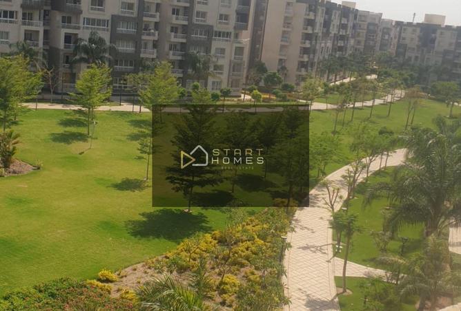 67735216 - صورة العقار 2