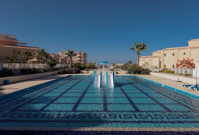 106851619 - Property Image 3