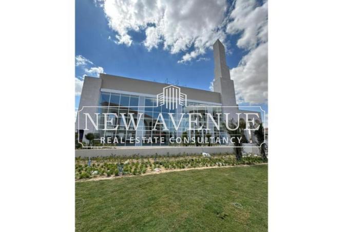 61447051 - صورة العقار 3