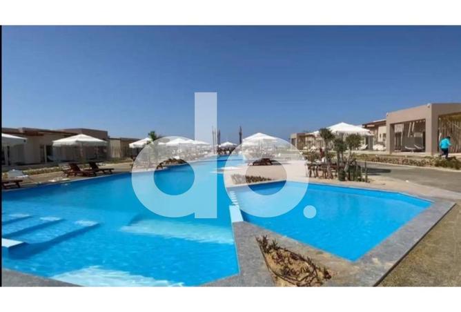 103189461 - Property Image 2