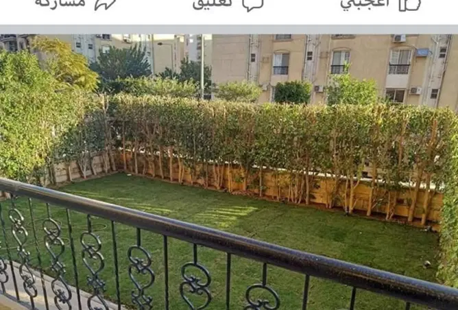 118033729 - Property Image 2