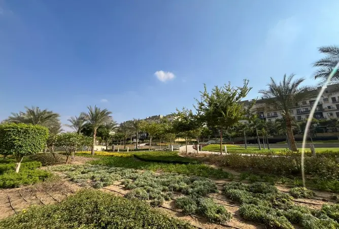 111885346 - Property Image 2