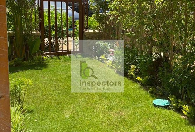 53477852 - Property Main Image