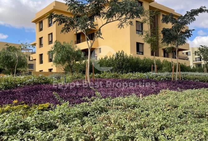 74319908 - Property Main Image
