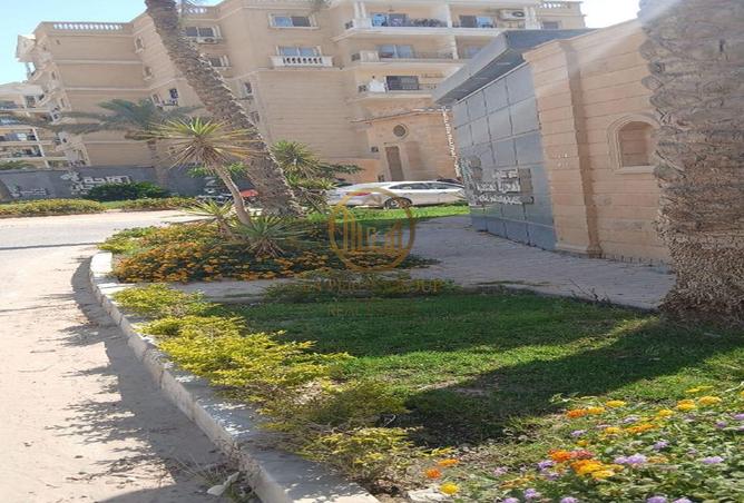 85865109 - صورة العقار 3