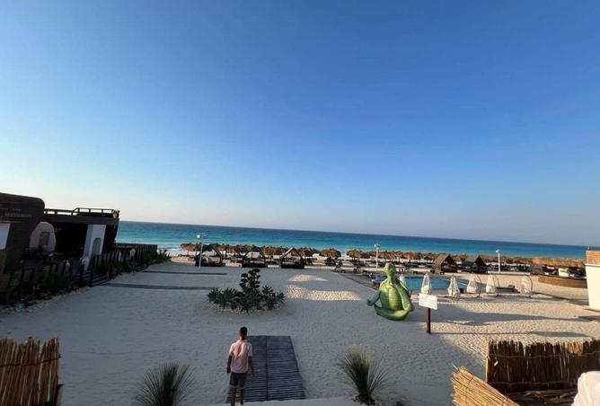 64381507 - Property Image 2