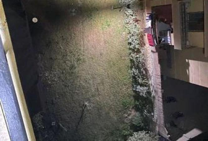 8705262 - صورة العقار 3