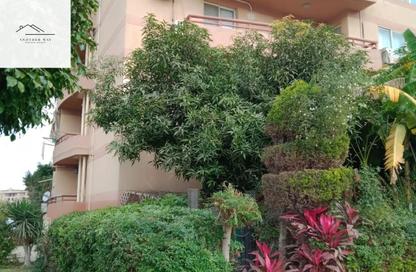 Apartment - 1 Bedroom - 1 Bathroom for rent in Rehab City Fifth Phase - Al Rehab - New Cairo City - Cairo