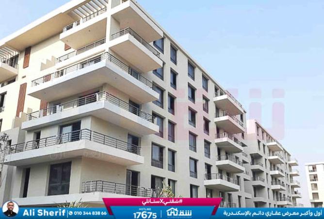 8490857 - Property Image 2