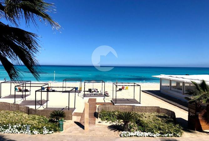 67999455 - صورة العقار 2