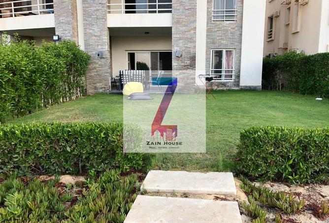 57494980 - صورة العقار 2