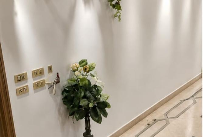 92417369 - صورة العقار 3
