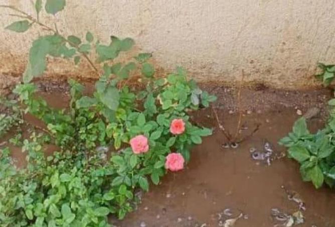 81042174 - صورة العقار 3