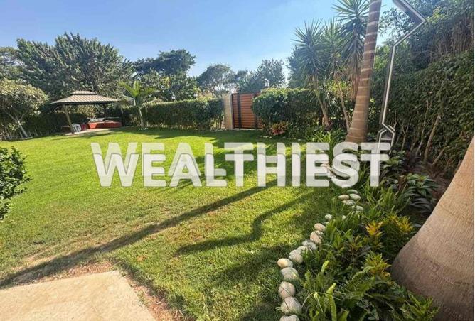 54487321 - Property Image 3