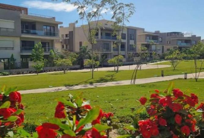 66693515 - صورة العقار 3