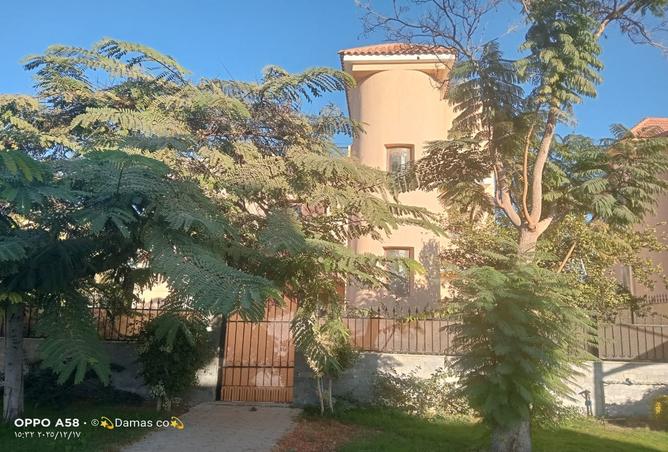 8491606 - الصورة الرئيسية للعقار