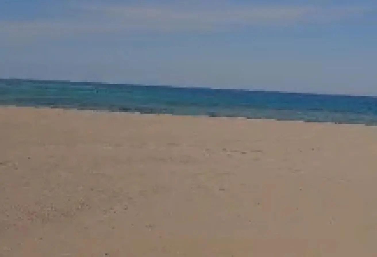 82351096 - الصورة الرئيسية للعقار
