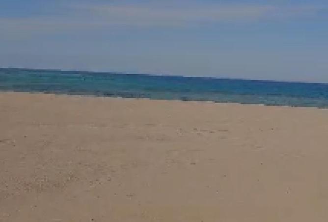 82351096 - الصورة الرئيسية للعقار