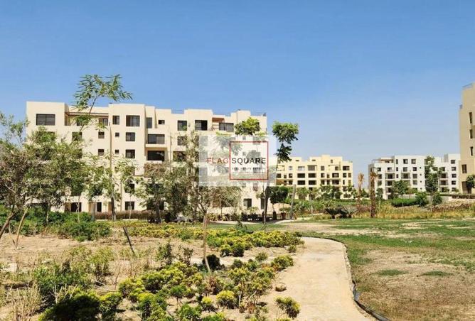 65919748 - صورة العقار 3