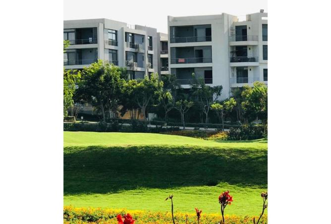 70368481 - Property Image 3