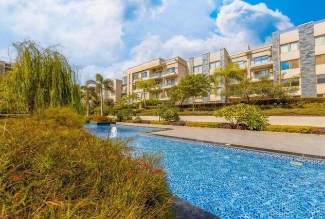 8637394 - Property Image 3