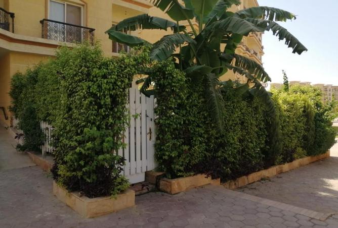 53478616 - صورة العقار 2