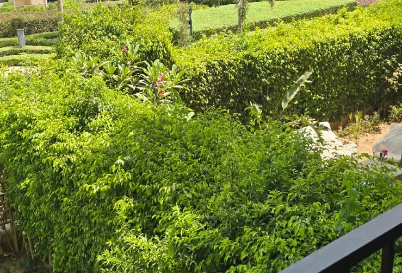 121140715 - الصورة الرئيسية للعقار